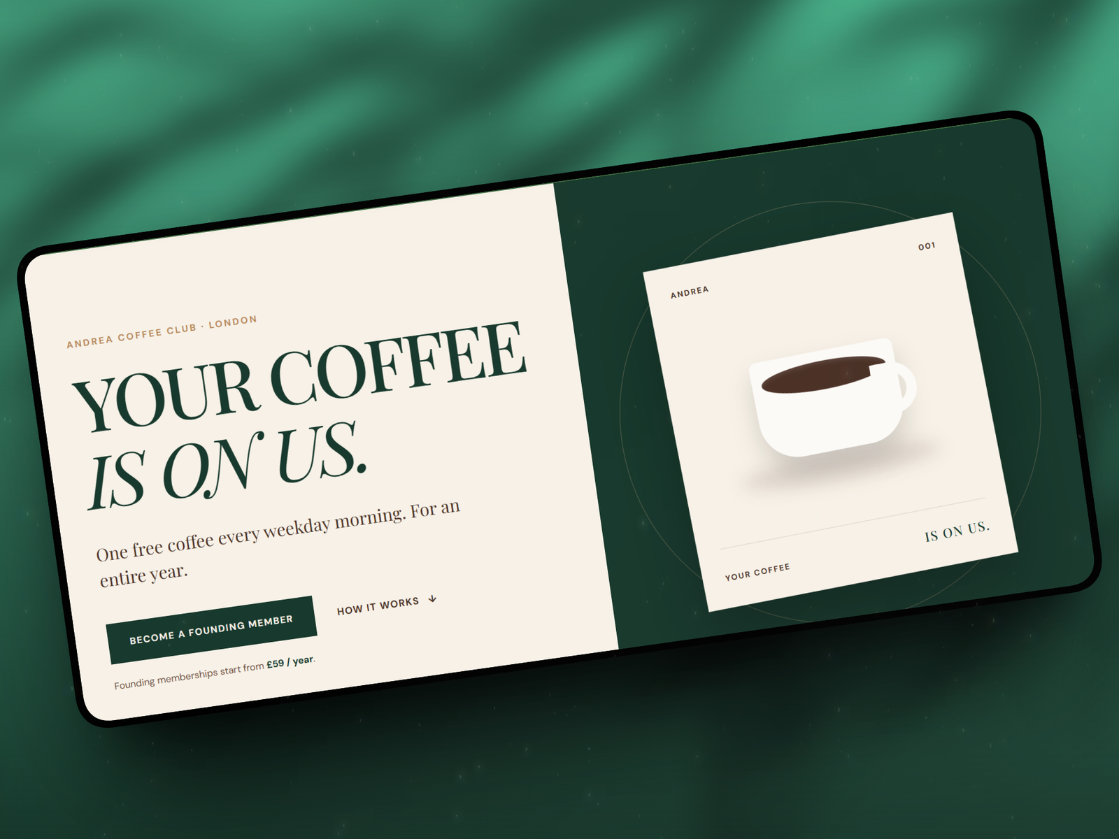 Professional website design by Webbing Studios