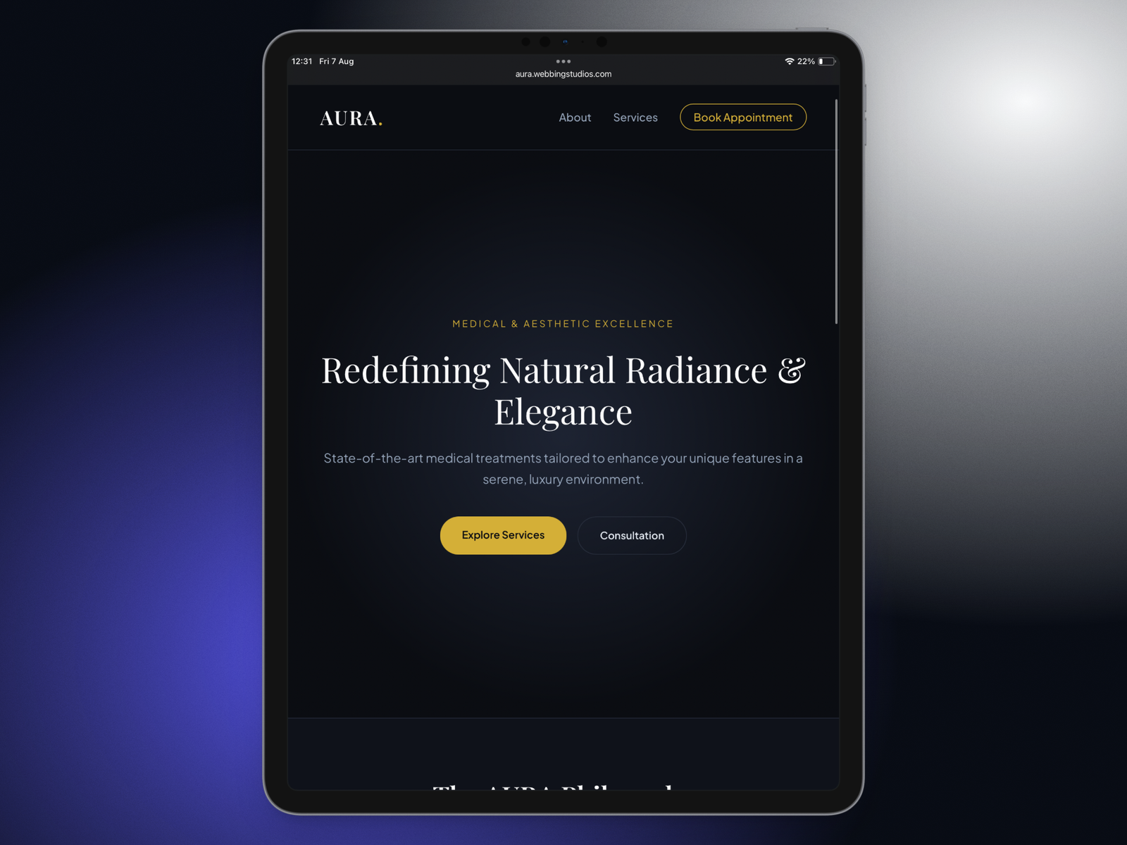 Professional website design created by Webbing Studios